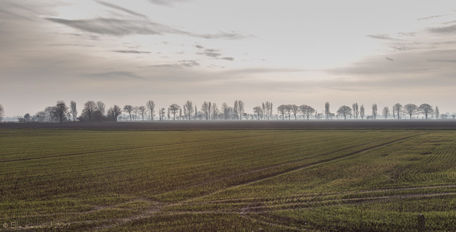 Fog over fields, Lincolnshire - Ellie Kennard 2016